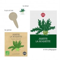 3770011706358-mini-kit-juliette-graines-roquette-bio_P1